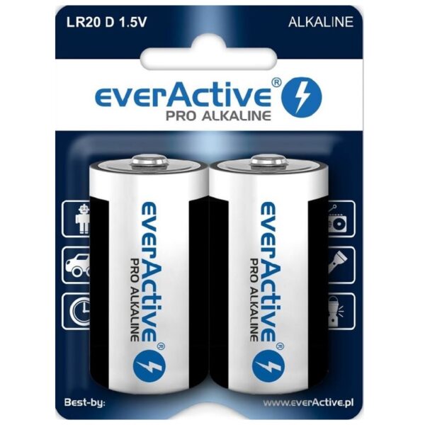 Everactive D / LR20 2 pcs